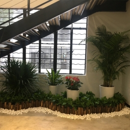 大型植物租赁案例