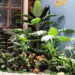大型植物租赁案例