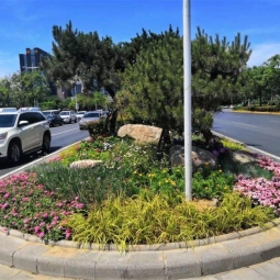 道路绿化案例